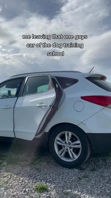 @krisyourdogtrainer