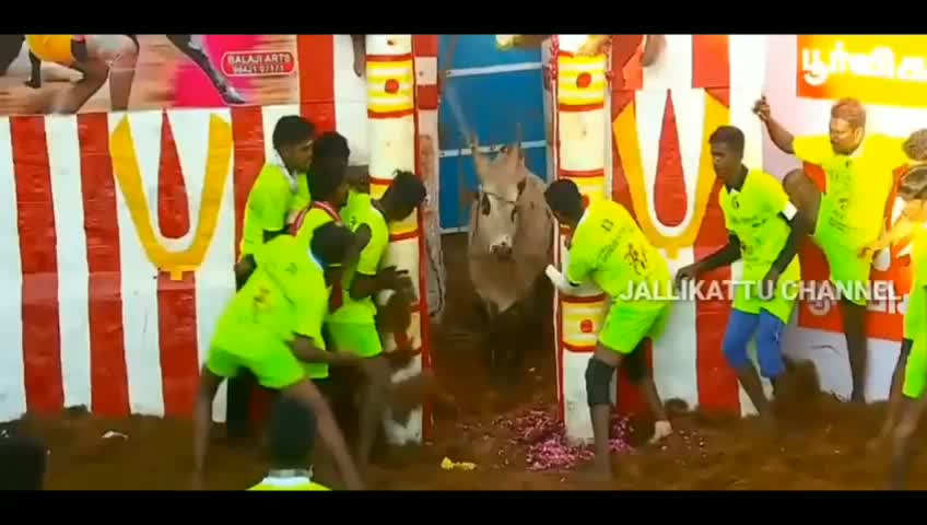 @மதுரை கார்திக் பாண்டி 🔰🔰