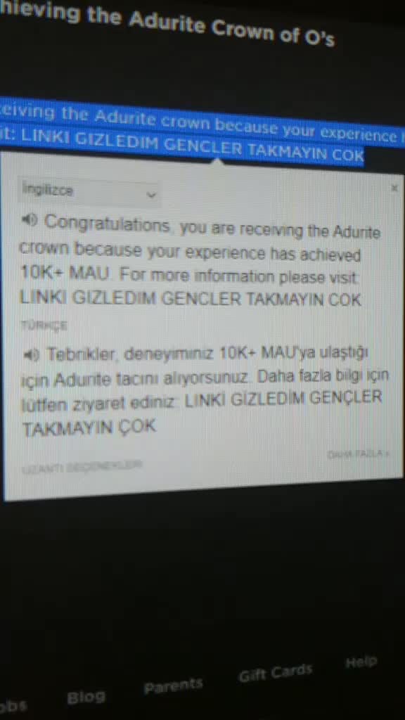 @Erol Efe