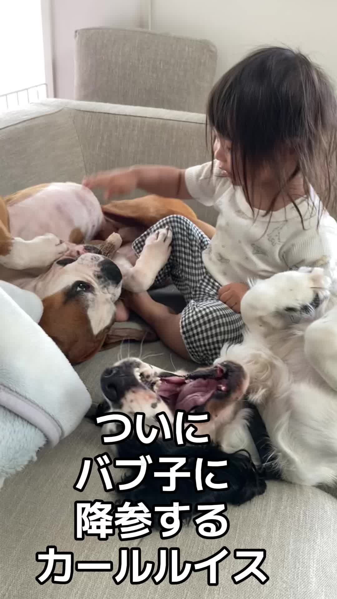@進撃のバブ子🍉
