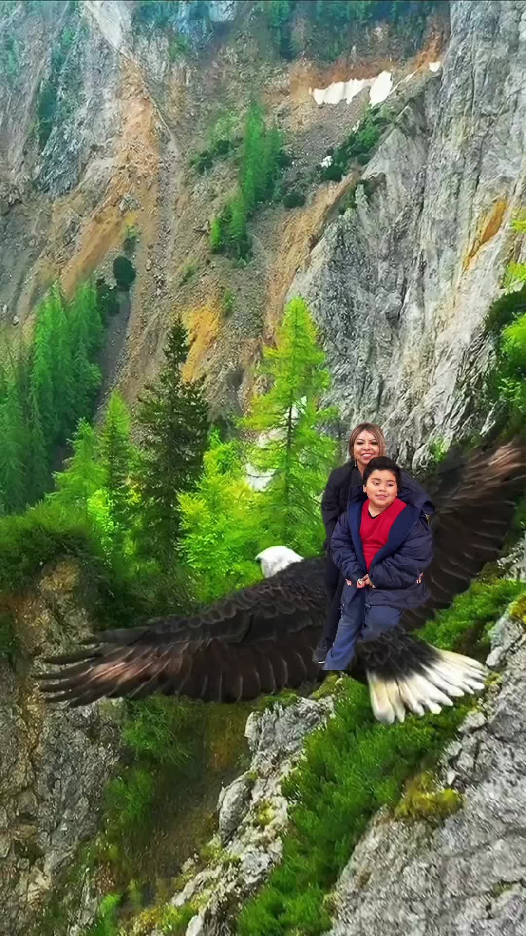 @yolanda4446