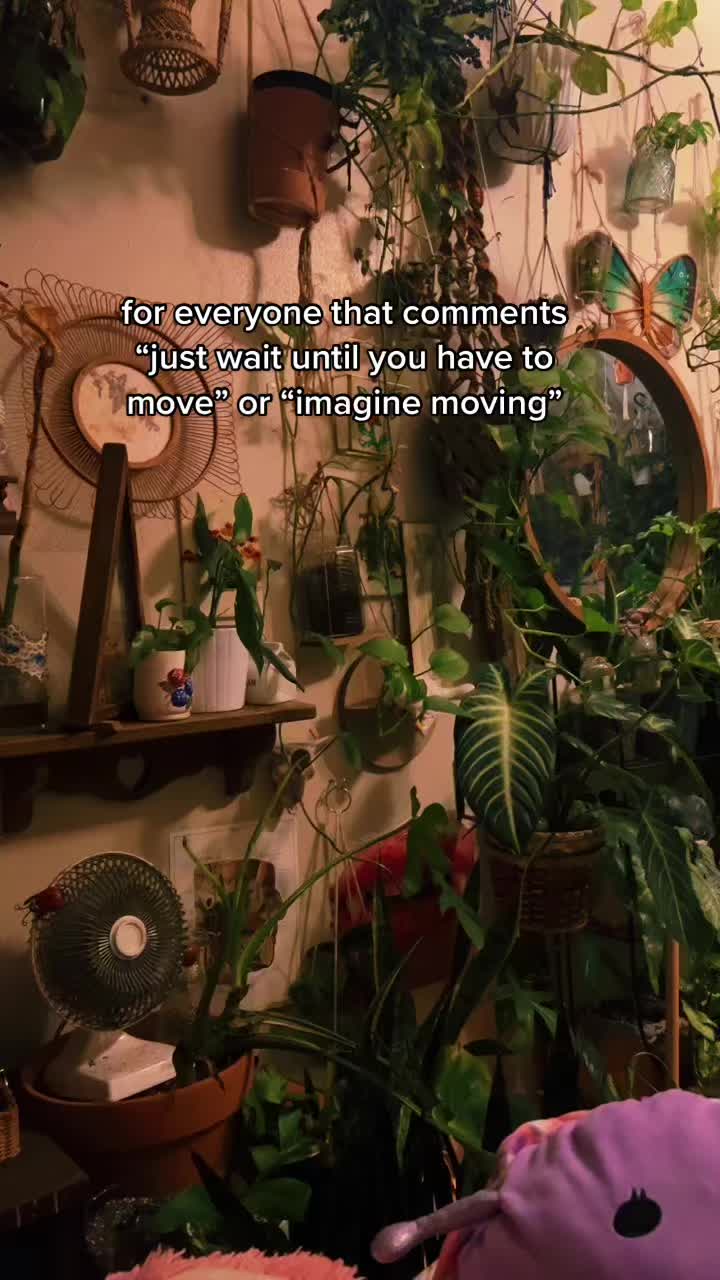 @Sage Moss