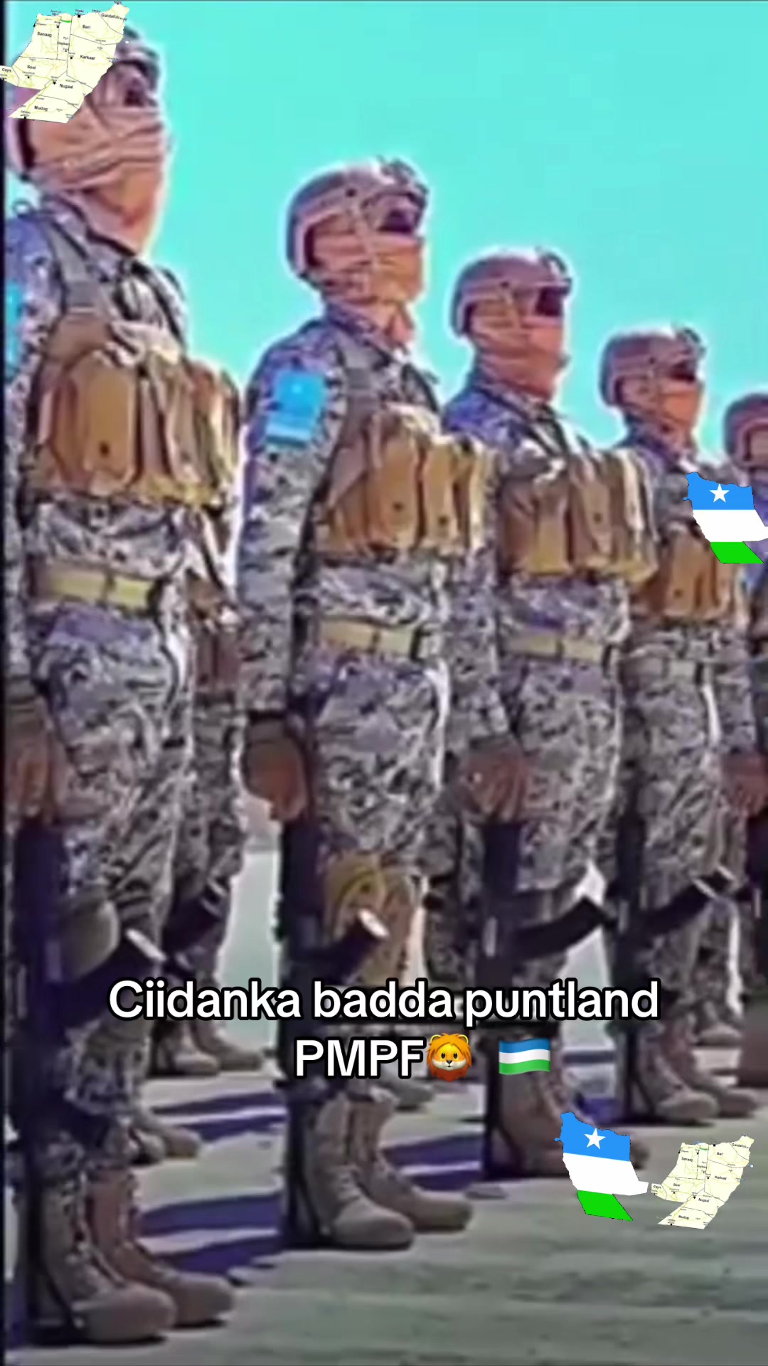 @Ibrahim 🦁