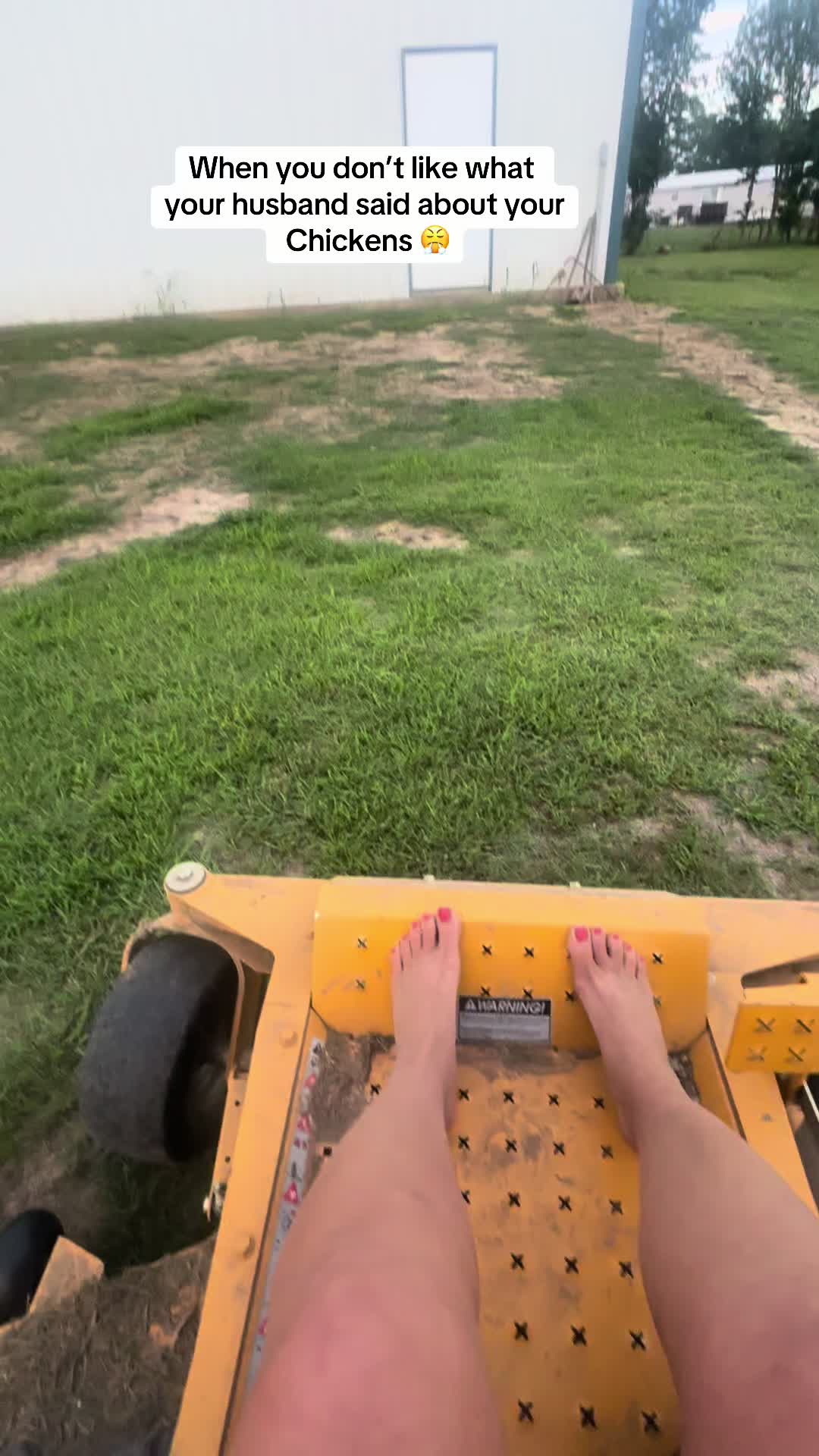 @NonniesFunnyFarm