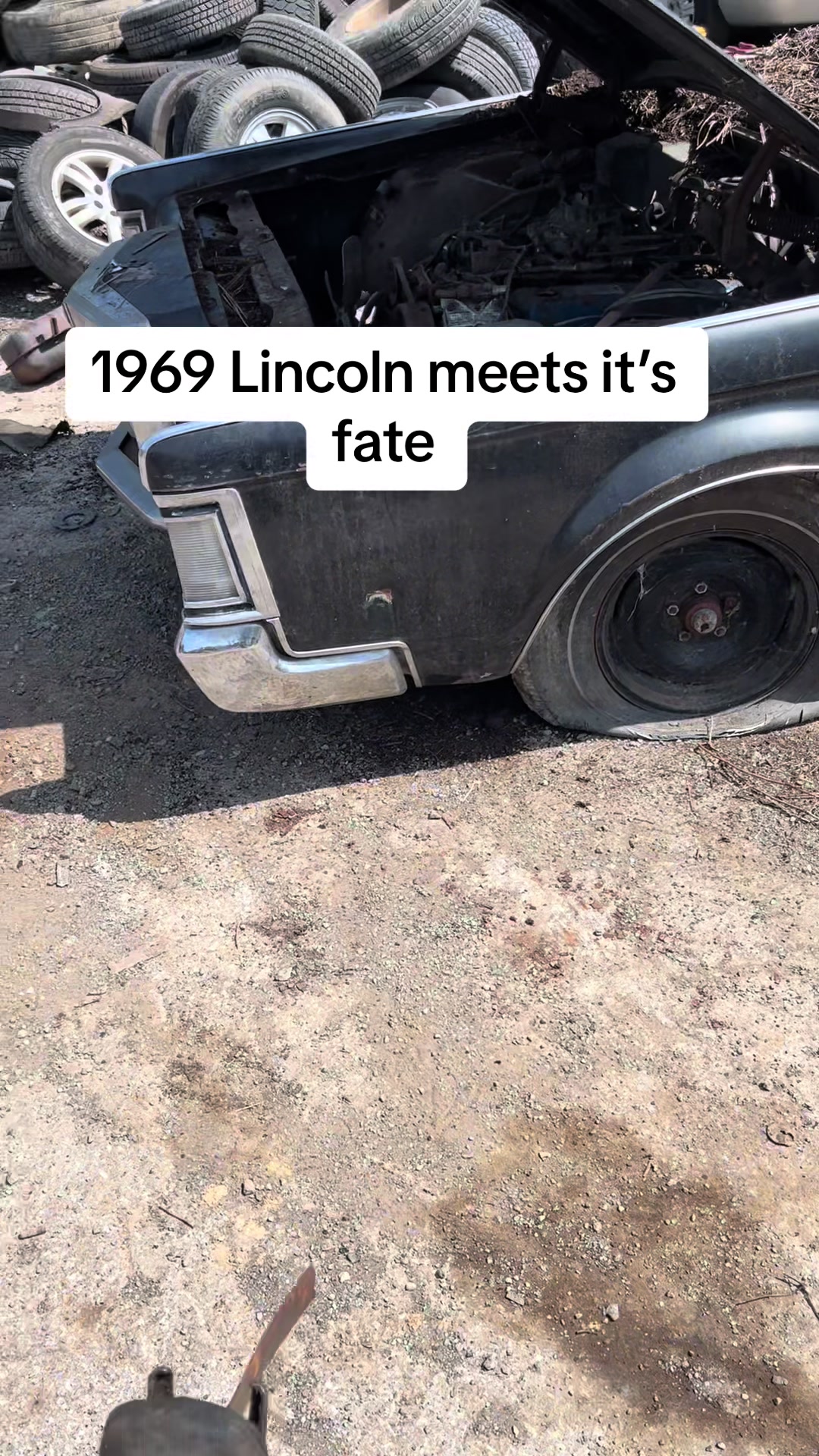 @junkcollector164