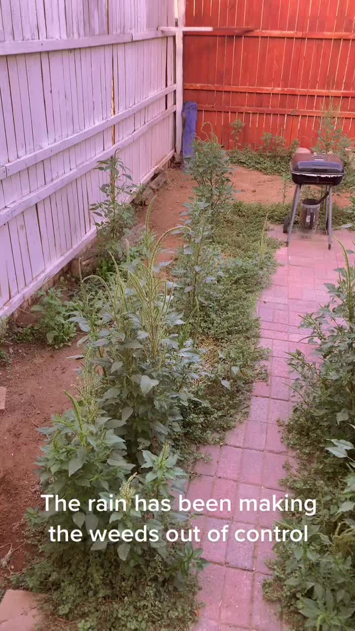 @Pros Landscaping