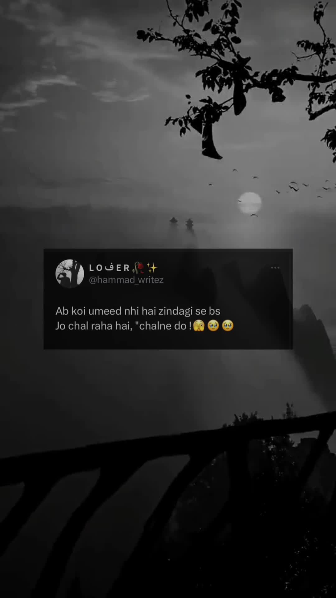 @๐ ๐ข ู ๐ ๐ฅ ๐ฅโจ