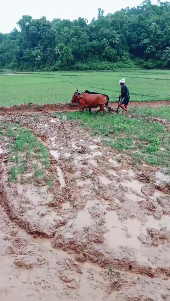 @ದೀಕ್ಷಿ ಮೂಡಿಗೆರೆ