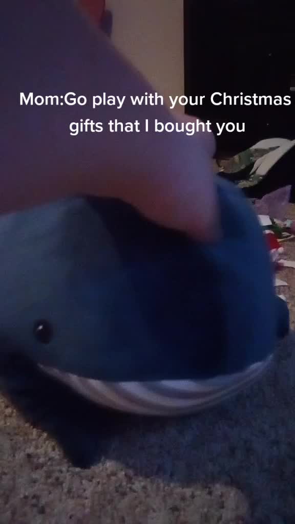 @My Dumb cats