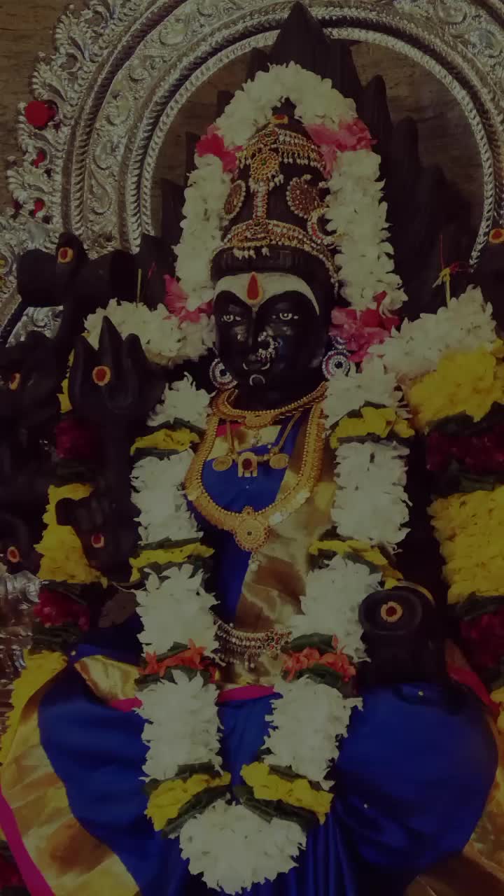 @vms Danish Raj 