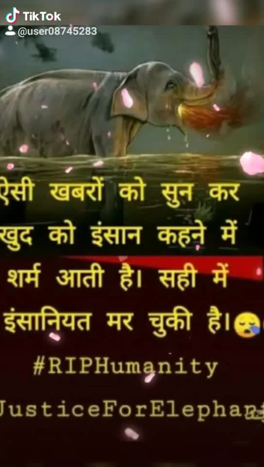 @Alaayza ansari.💞