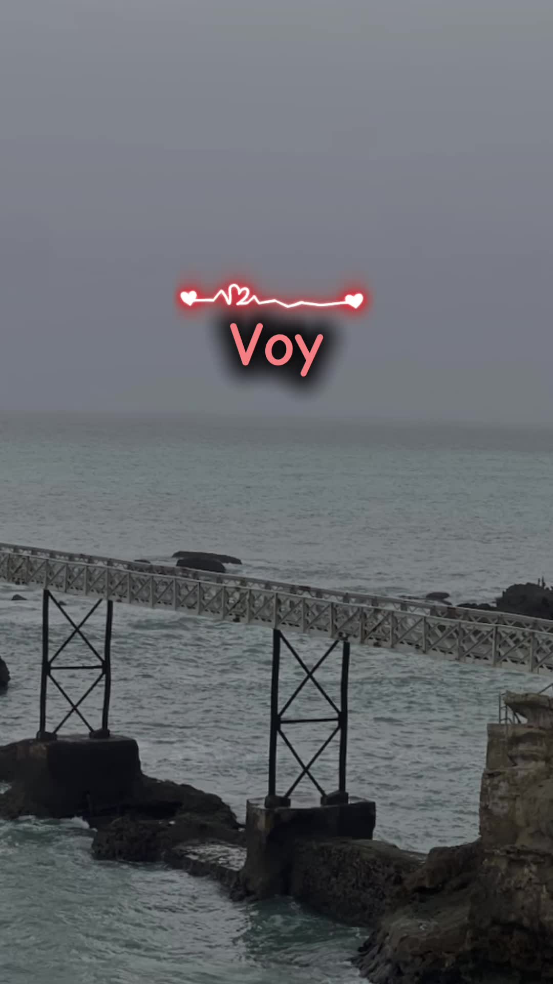 @🦋 CRIS 🌜
