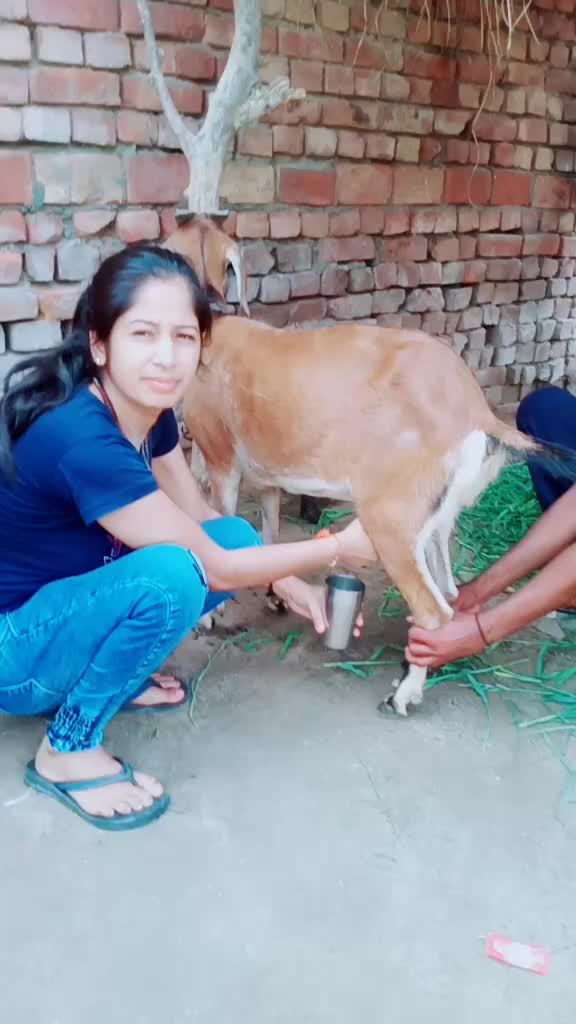 @Rksharma