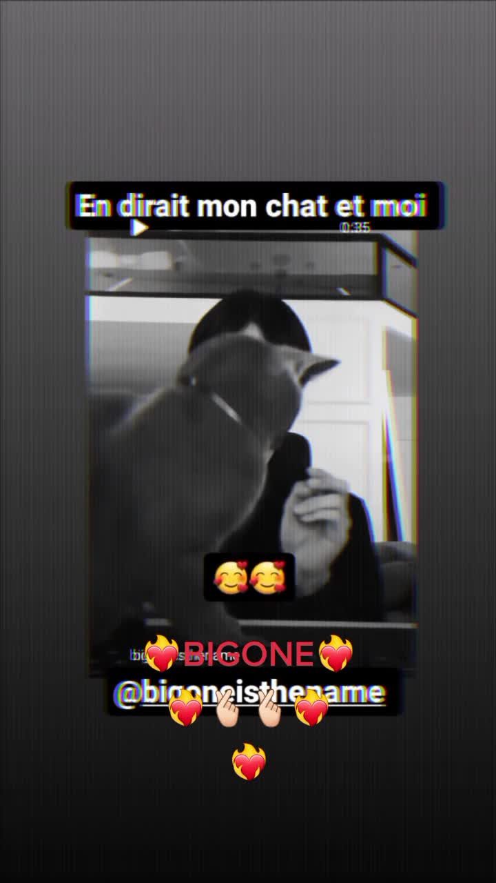 @🐉🖤AURORA.YAKUZAAAH🖤🐉