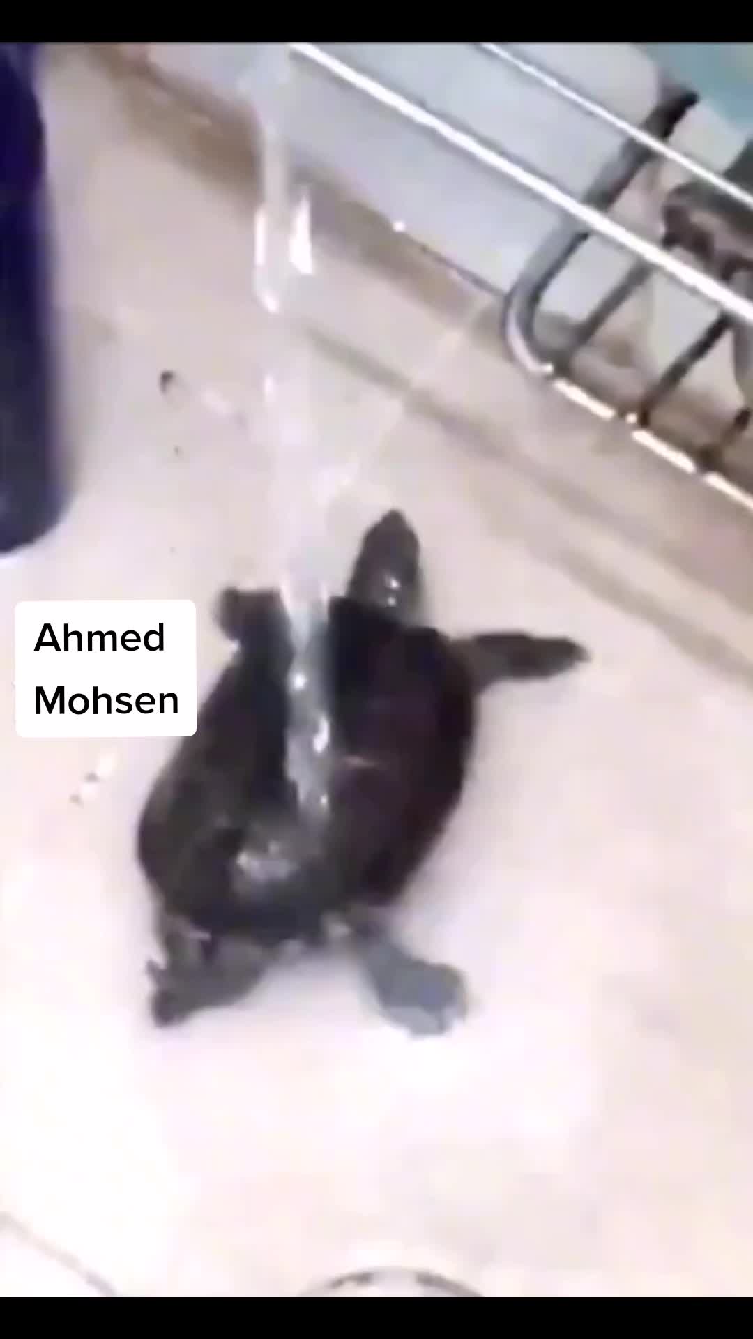 @yoyo_._
