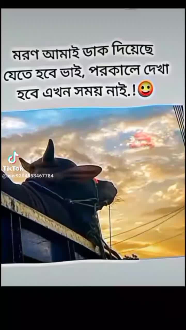 @MD RIFAT