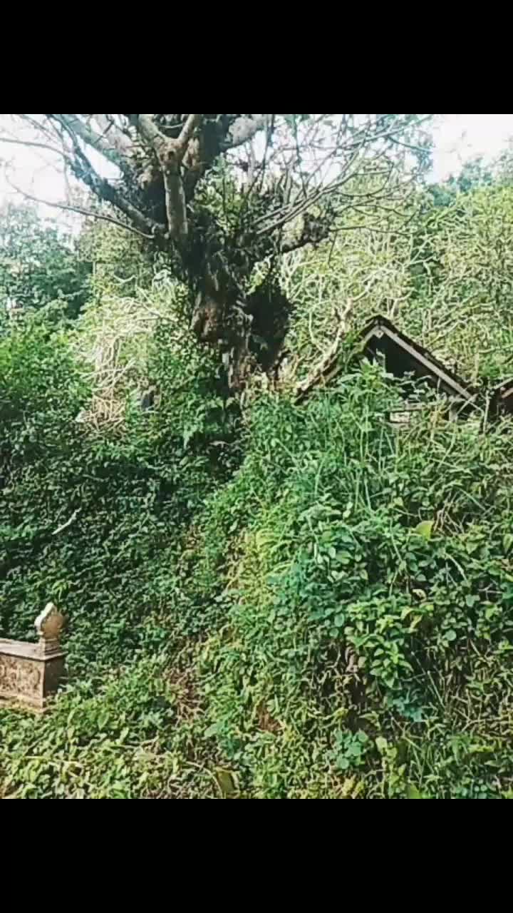 @๐ชโ๐ฑโ๐ชโ๐ฐโ๐ฎ๐ค๐ฝ๐๐ฃ๐๐