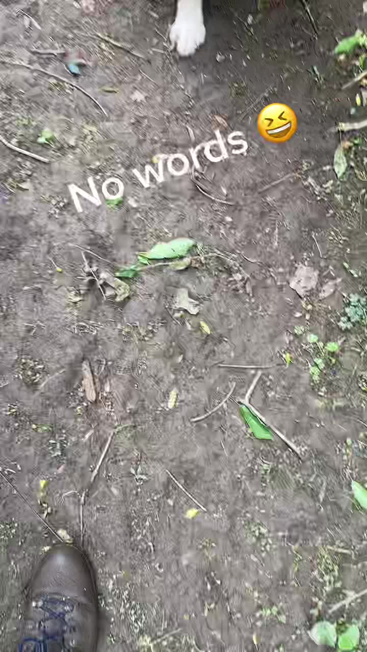 @Jamie of Burnsbys Walkies