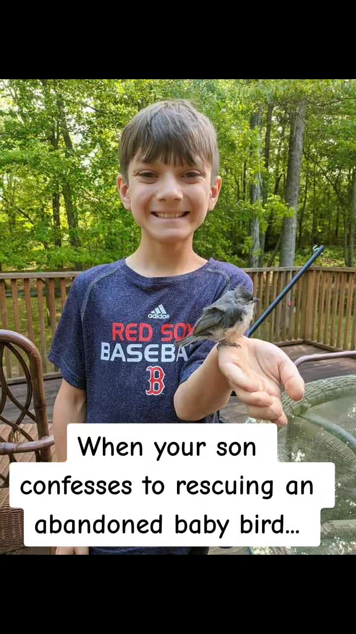 @Mommadrama101