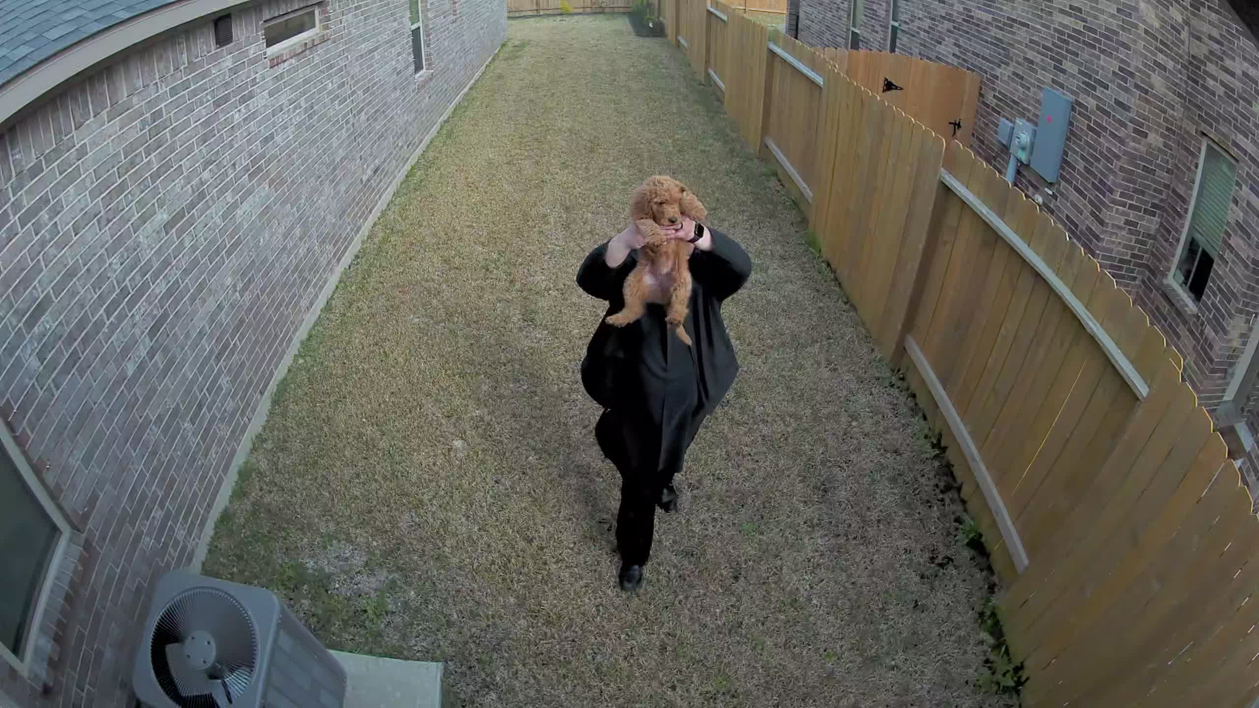 @ayoeverett