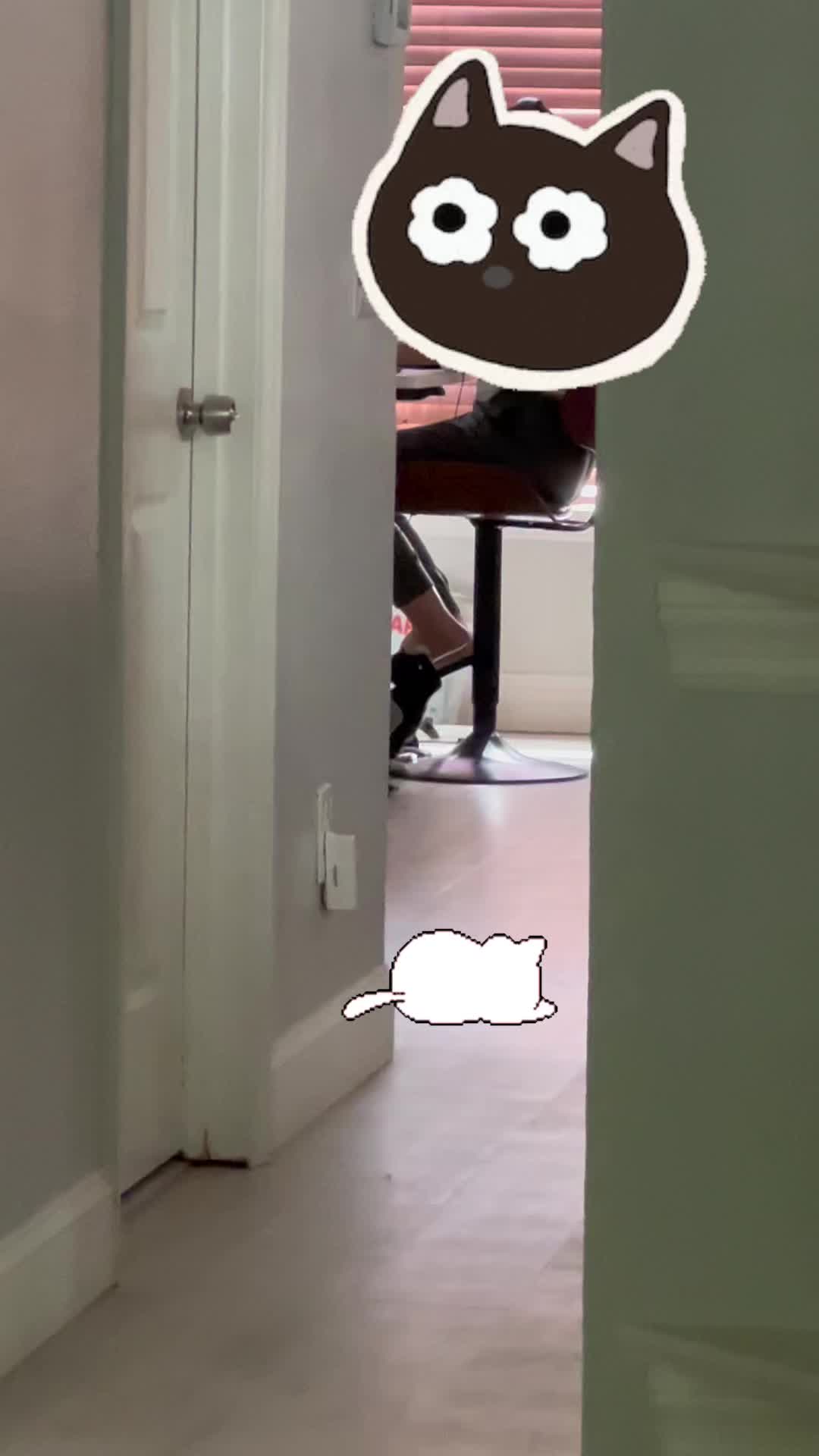 @Ryugyu Cat