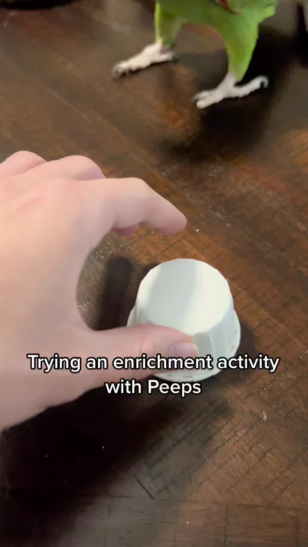 @Peeps
