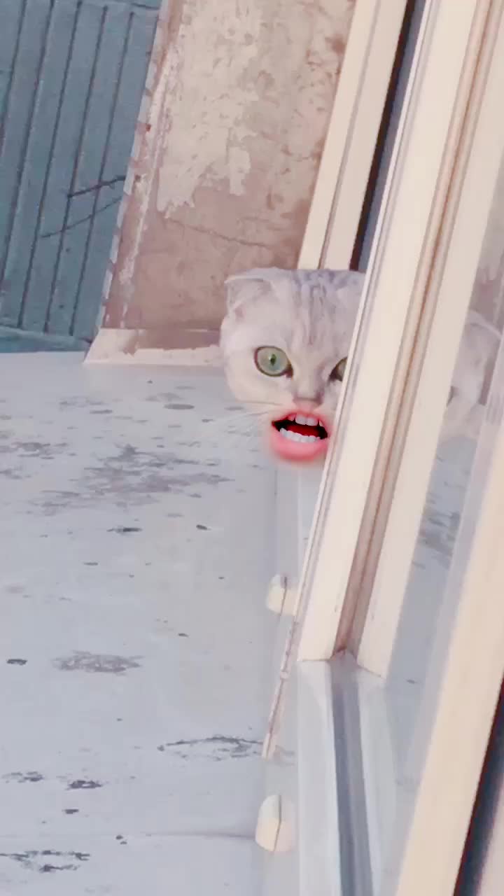 @tom_and_jessy_2