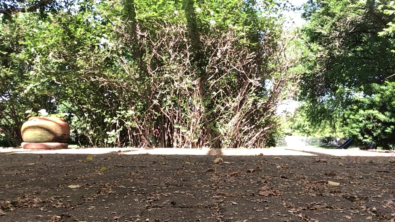 @FlipFlopCrushing