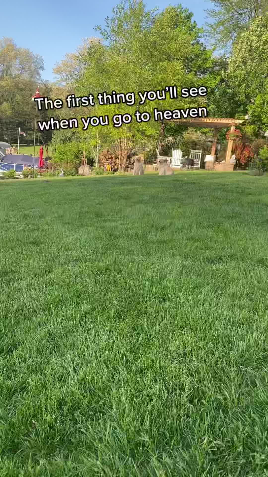 @Joey and Goose