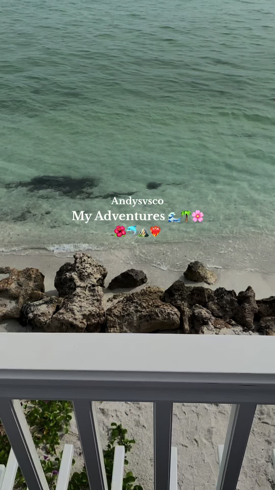 @andyslife