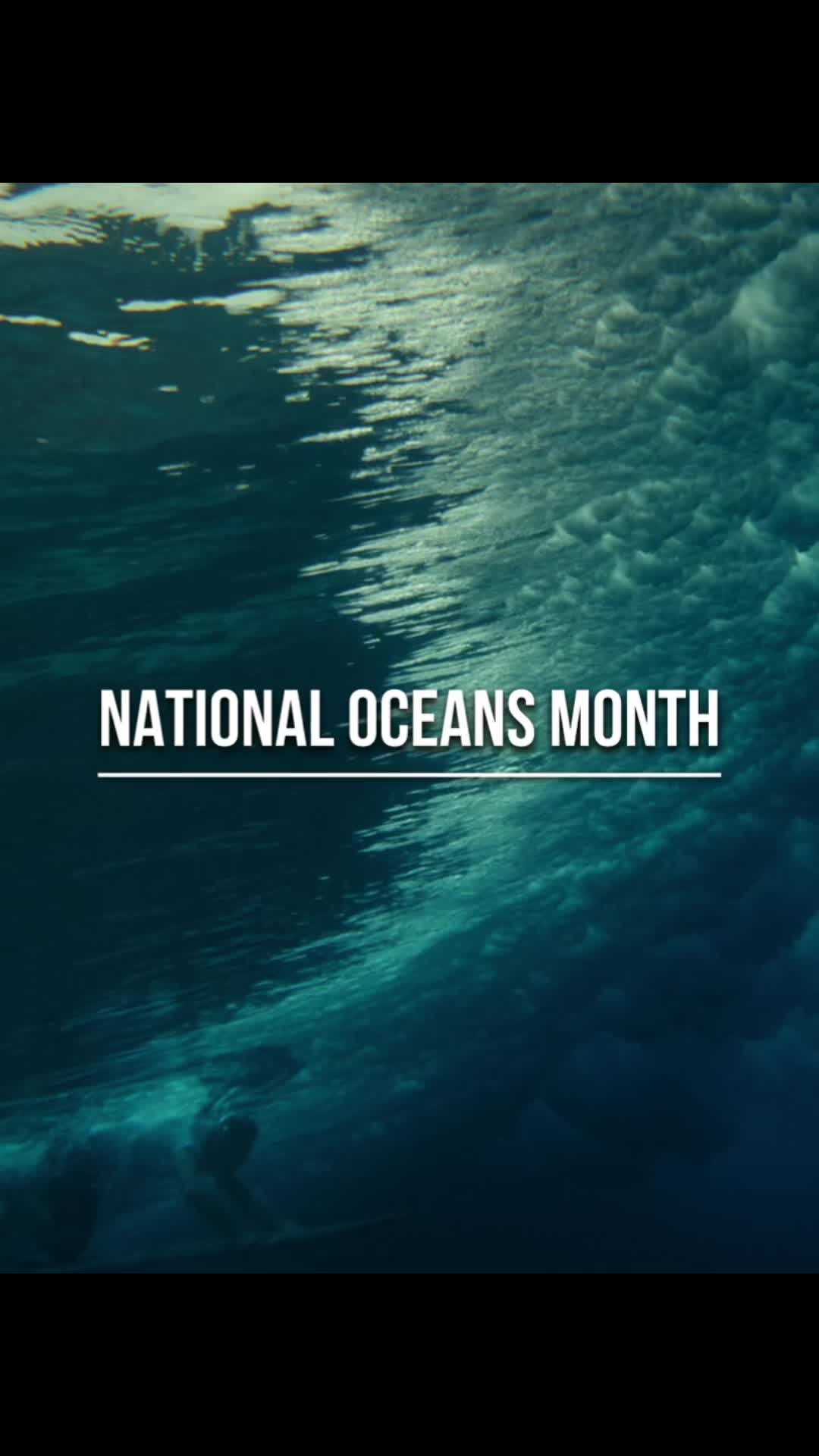 @sustainablesurf