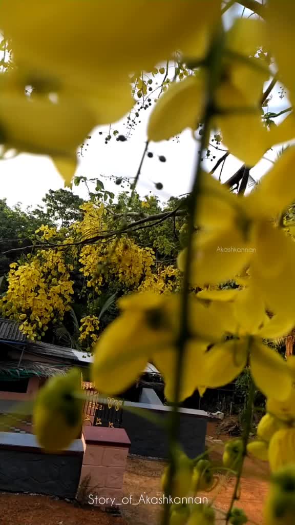 @A_K_A_S_H_ kannan