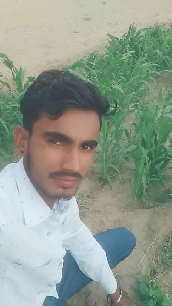 @m.r dalip Gander