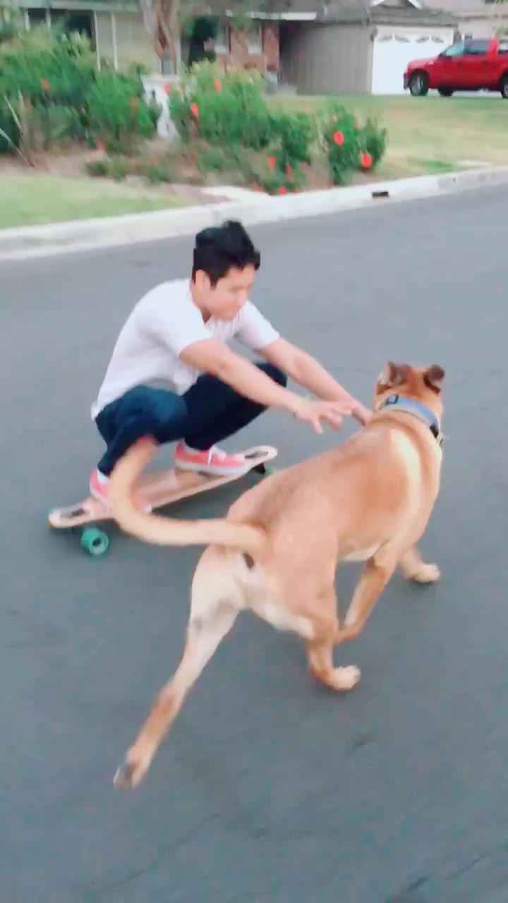 @Nelson Nguyen