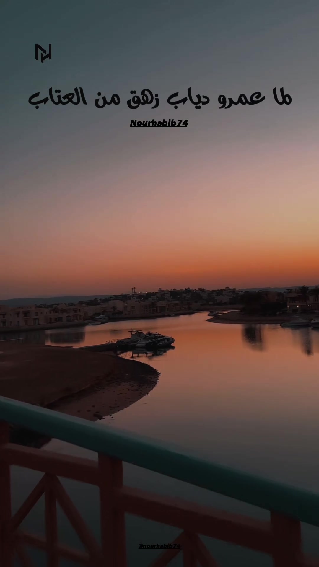 @NourHabib74