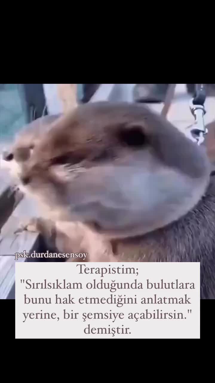 @Eda ♡