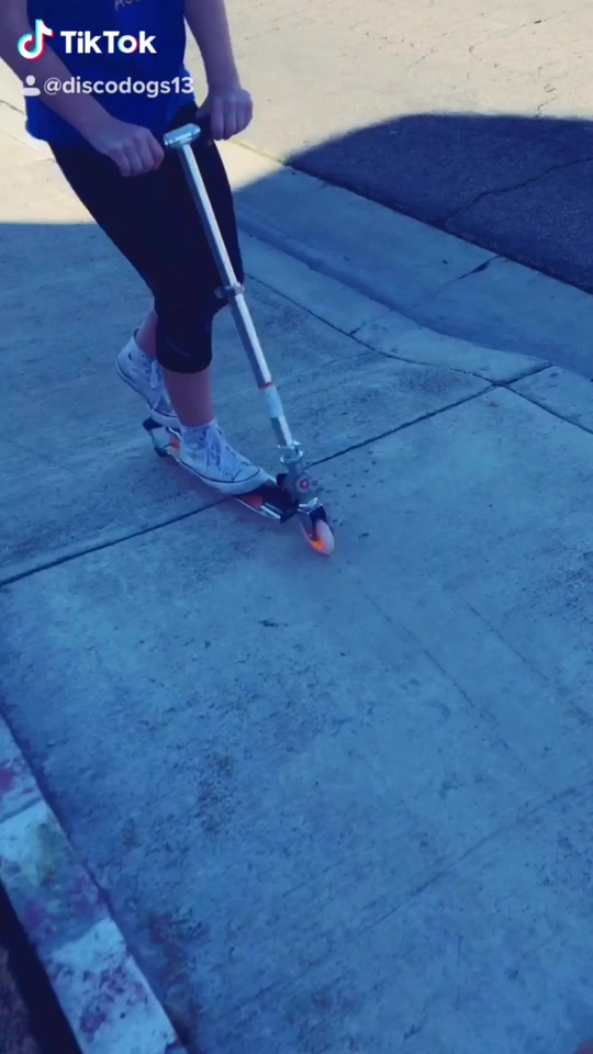 @discodogs13