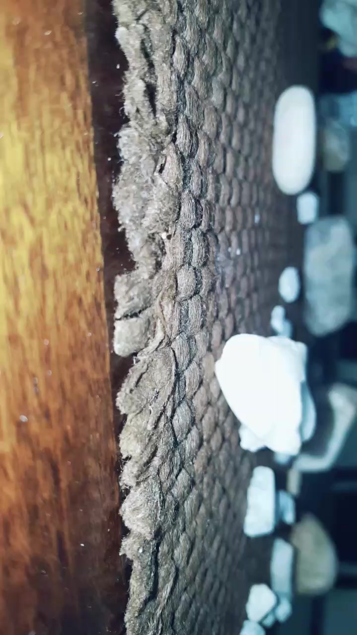 @I'm New here