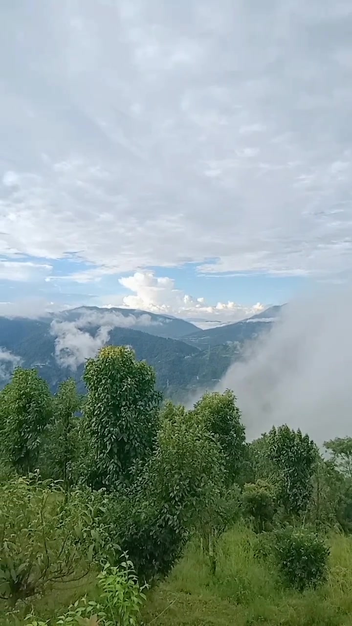 @PUKKU😈