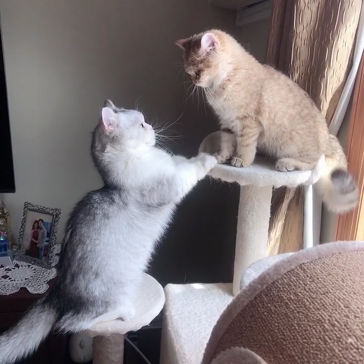 @Momo & Mimi