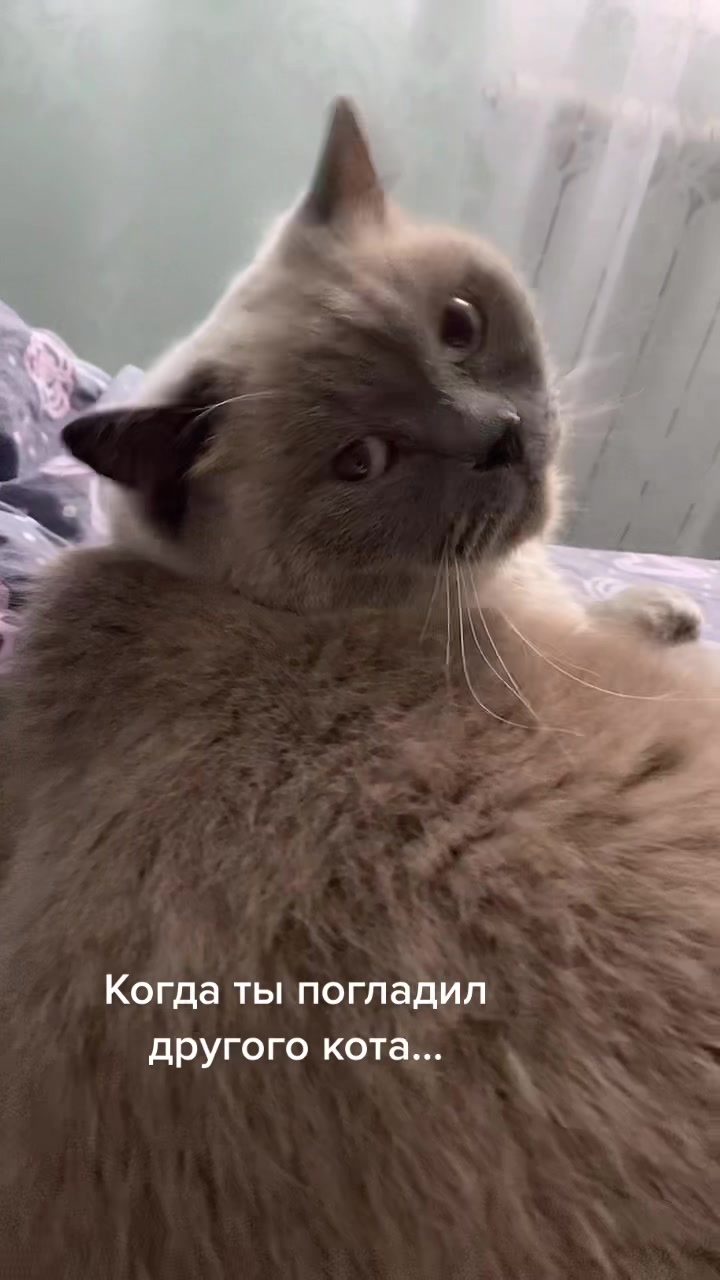 @Mari