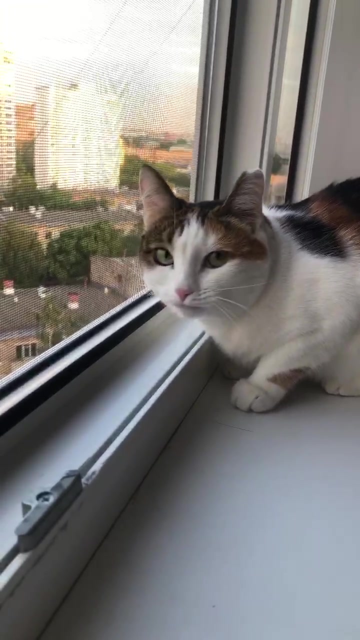 @Юлия Артюхова