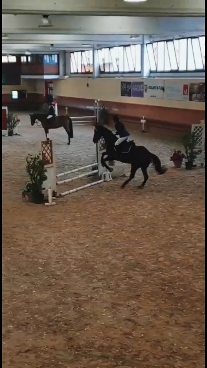 @Adriana Cammarata