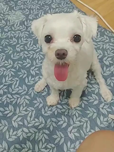 @๋ง์ค