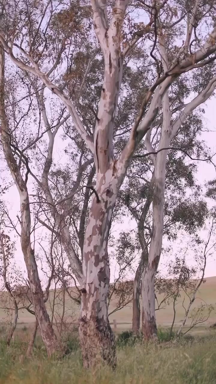 @discoverdaylesford