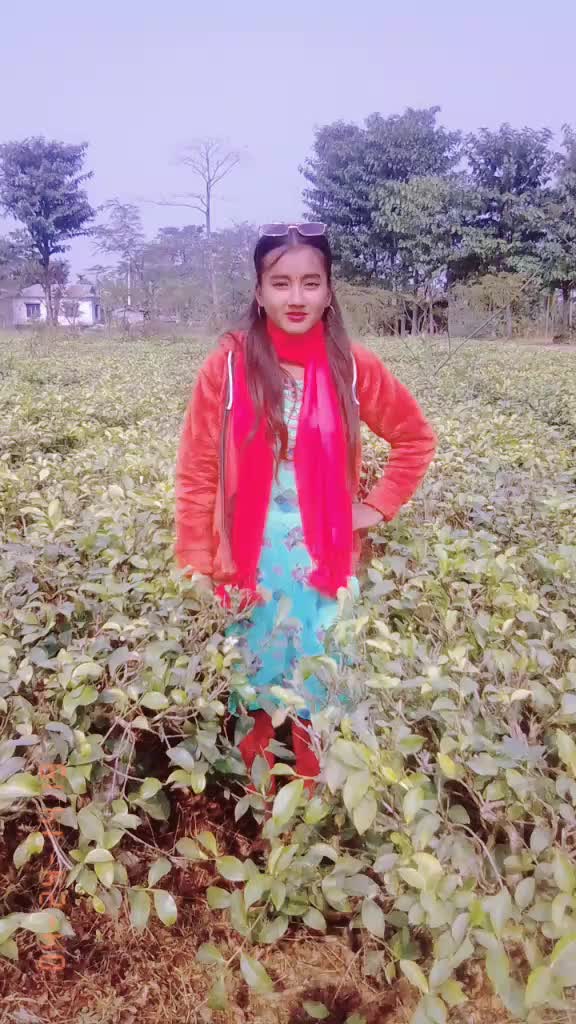 @anisha karki384