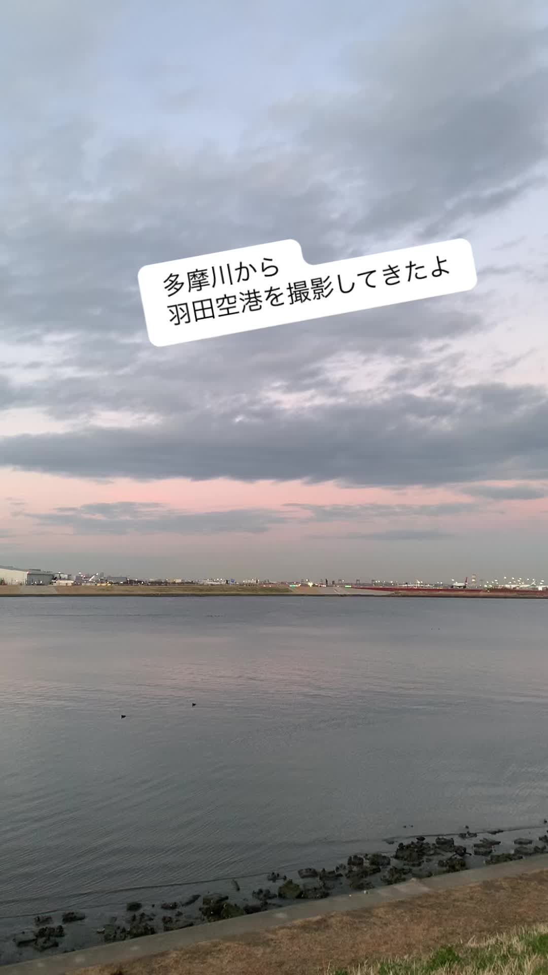 @🦜amaharu🦜