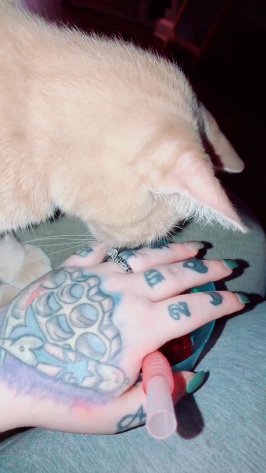 @HexxedKitten