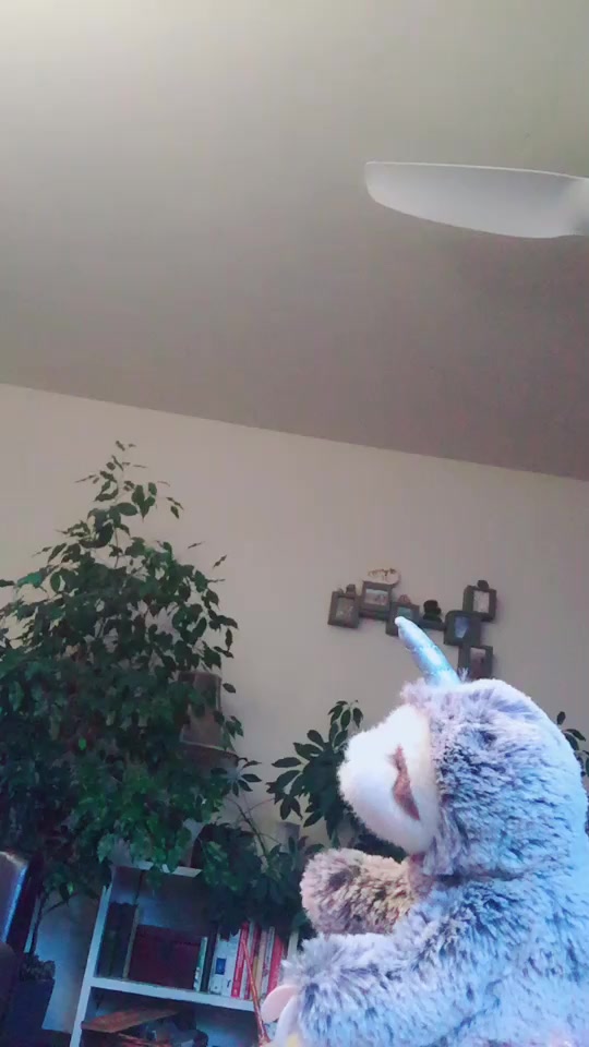 @Batman the cat