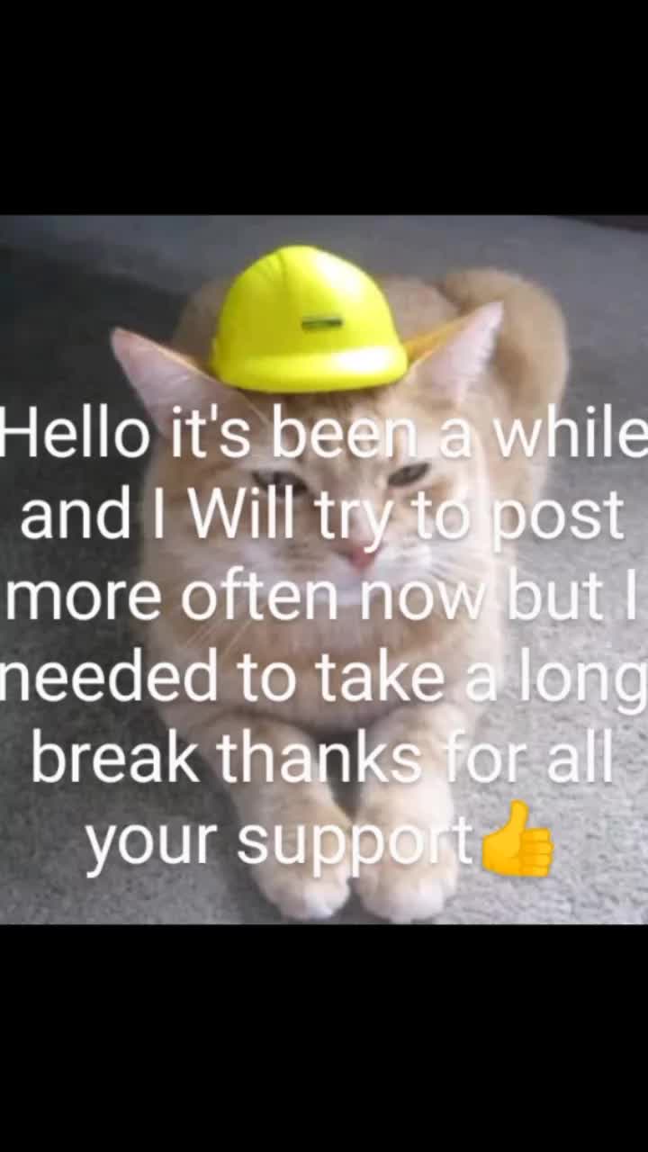 @Safety Cat